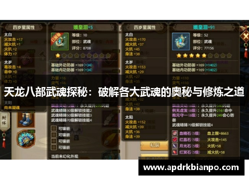 天龙八部武魂探秘：破解各大武魂的奥秘与修炼之道