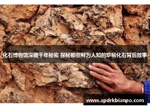 化石博物馆深藏千年秘密 探秘那些鲜为人知的珍稀化石背后故事